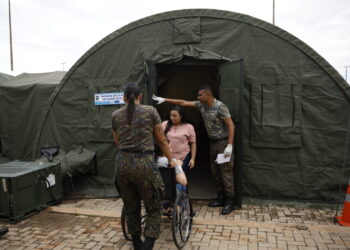 Brazil using mosquitoes infected with bacteria to combat dengue fever outbreak