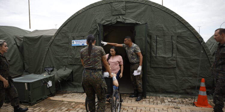 Brazil using mosquitoes infected with bacteria to combat dengue fever outbreak