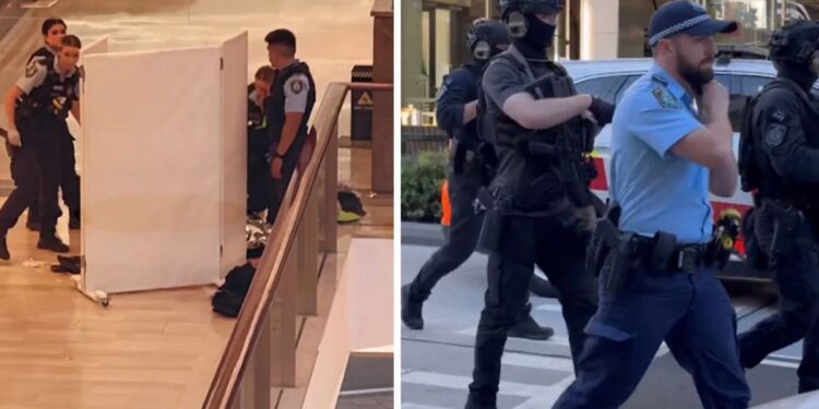 Policy say suspect among six dead in Australian stabbing spree at busy shopping center
