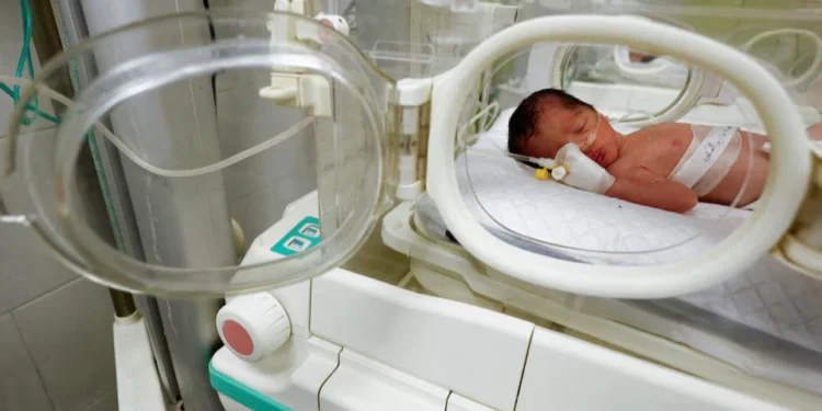 A Palestinian infant in Gaza was born an orphan following an emergency caesarean section due to an Israeli attack.