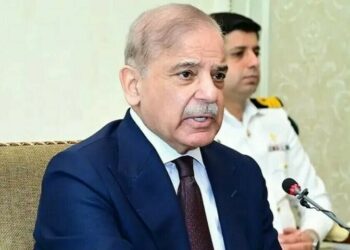 PM Shehbaz in China assures complete backing and protection for investors.
