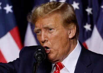 Donald Trump declares that he will not prohibit TikTok in the United States if he is re-elected.