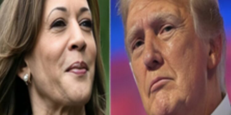 Christophe Barraud, recognized as the ‘world’s most accurate economist,’ has forecasted a victory for Donald Trump in the upcoming U.S. presidential election scheduled for November 5. Barraud, the head of Market Securities Monaco and a leading figure in Bloomberg’s economic rankings for 11 of the last 12 years, supports his prediction through various indicators, including signals from financial markets and betting platforms.  In a recent update on X (formerly Twitter), Barraud remarked, “Analyzing various metrics such as betting markets, polls, forecasts from election modellers, and financial market trends, the most likely outcomes indicate a GOP clean sweep.” His analysis implies that Republicans are likely to gain control of the Senate and potentially the House, although the latter remains less certain.  Barraud anticipates that a Trump presidency would lead to short-term economic growth, projecting GDP increases between 2.1% and 2.3% by 2025. However, he cautions that tax reductions may be counterbalanced by long-term challenges, such as a rising federal deficit in the absence of new revenue streams.  In the event of a Trump victory, the economist foresees significant fluctuations in the bond market, predicting that yields on the 10-year Treasury bond could escalate to 4.5 percent, possibly reaching as high as 5 percent as Trump’s policies are implemented. This outlook diverges from the prevailing consensus, which anticipates slower growth rates of 2.6 percent in 2024 and 1.8 percent in 2025.  Adding to the mix of predictions, statistician Nate Silver expresses a strong intuition that Trump will secure a win, estimating the probability at 53.1 percent. Conversely, historian Allan Lichtman, known for his accurate election predictions, asserts that Vice President Kamala Harris will emerge victorious based on his ‘Keys to the White House’ model.