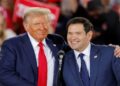 Donald Trump is expected to appoint Marco Rubio as Secretary of State, according to reports.