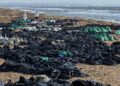 Russian scientists express concern about the inadequate response to the Black Sea oil spill cleanup.