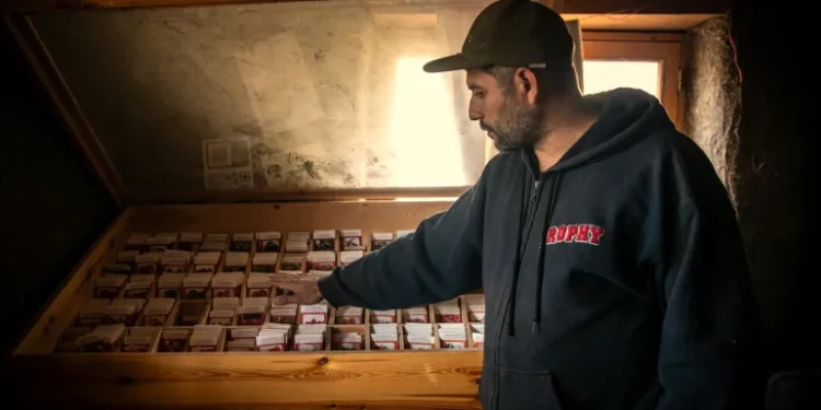 Our seeds, our foundation: Planting hope amidst the Israeli bombings in Lebanon.