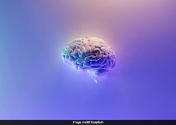 Research Shows Brain Stimulation Aids Walking in Injured Individuals: Study.