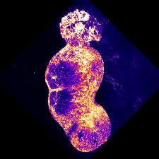 US and Russia engage in ‘constructive’ discussions regarding embassy personnel during a meeting in Istanbul.