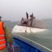At least 34 people have died after a tourist boat capsized in Ha Long Bay, Vietnam.