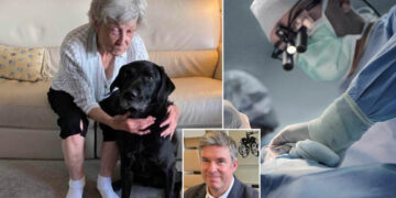 A blind Canadian woman can now see using her tooth.