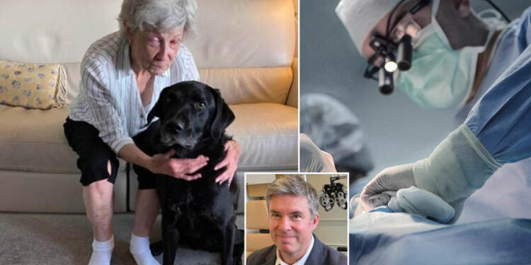 A blind Canadian woman can now see using her tooth.