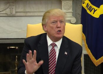 ‘No crime… if a man has a minor altercation with his wife’: Public anger erupts as Trump supports domestic violence.