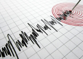 A magnitude 6.5 earthquake has hit off the coast of Guadeloupe, with no damage reported.